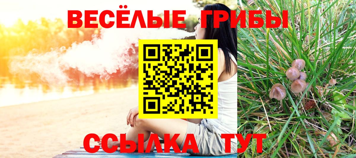Крымск  Псилоцибиновые грибы Cubensis  купить закладку  Вход с VPN  Галлюциногенные грибы Psilocybe 